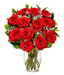 One Dozen Christmas Red Roses