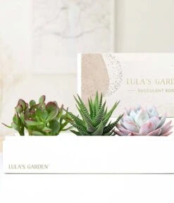 Other Lula's Garden ® Verdant Deluxe Gift Box