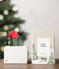 Other Happy Holidays Joy Succulent Planeter