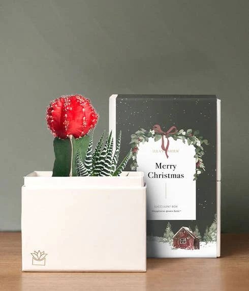 Other A Very Merry Christmas Joy Succulent Planter 1 Other A Very Merry Christmas Joy Succulent Planter
