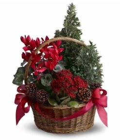 Tannenbaum Basket
