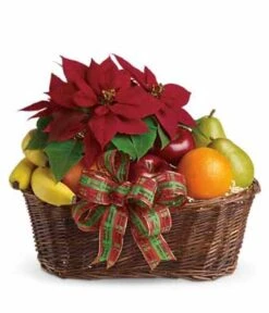 Poinsettia Fruits Basket