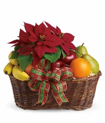 Poinsettia Fruits Basket 1 Poinsettia Fruits Basket