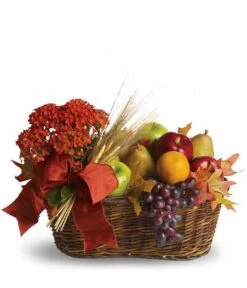 Plant And Fruit Basket