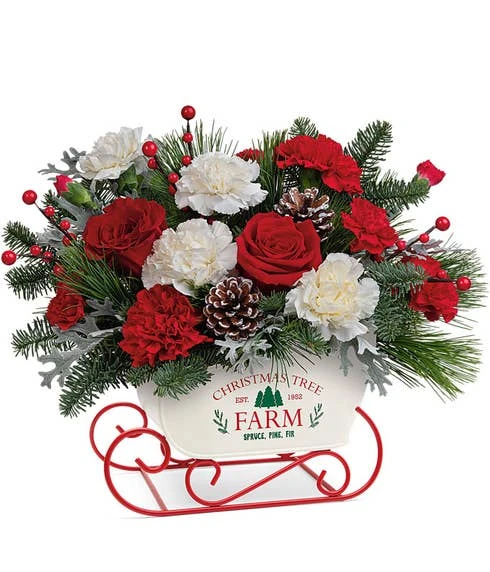 Sleigh Bells & Snowy Carnations 1 Sleigh Bells & Snowy Carnations