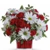 Red Daisy White Daisy For You I'm Crazy