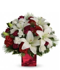 Caroling In The Snow